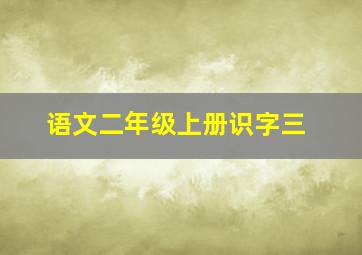 语文二年级上册识字三