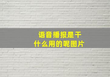 语音播报是干什么用的呢图片