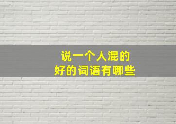 说一个人混的好的词语有哪些