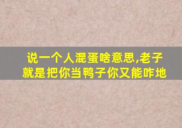 说一个人混蛋啥意思,老子就是把你当鸭子你又能咋地