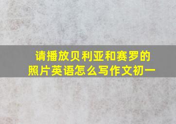 请播放贝利亚和赛罗的照片英语怎么写作文初一