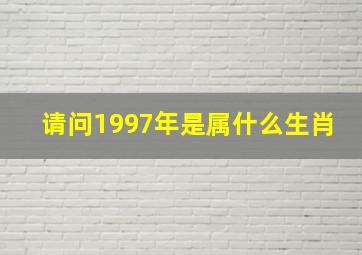 请问1997年是属什么生肖