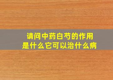 请问中药白芍的作用是什么它可以治什么病