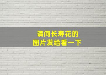 请问长寿花的图片发给看一下