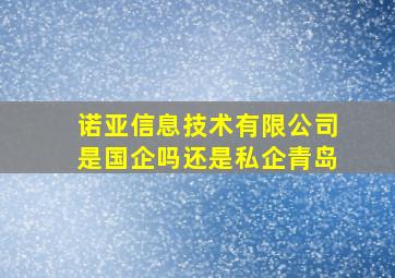 诺亚信息技术有限公司是国企吗还是私企青岛