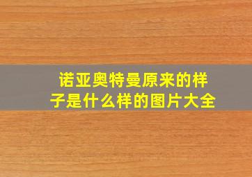 诺亚奥特曼原来的样子是什么样的图片大全