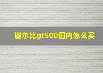 谢尔比gt500国内怎么买