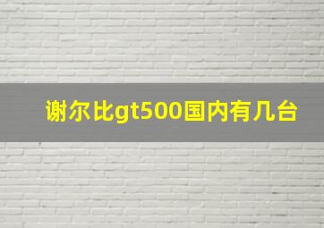 谢尔比gt500国内有几台