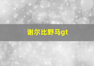 谢尔比野马gt