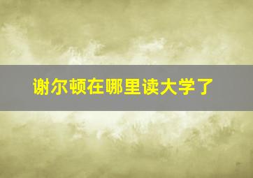 谢尔顿在哪里读大学了