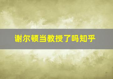 谢尔顿当教授了吗知乎