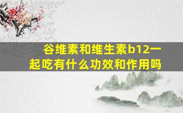 谷维素和维生素b12一起吃有什么功效和作用吗