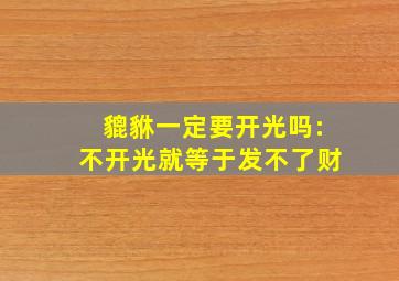 貔貅一定要开光吗:不开光就等于发不了财