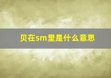 贝在sm里是什么意思