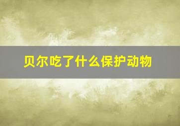 贝尔吃了什么保护动物