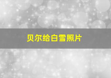 贝尔给白雪照片