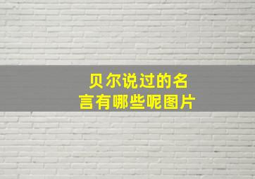 贝尔说过的名言有哪些呢图片