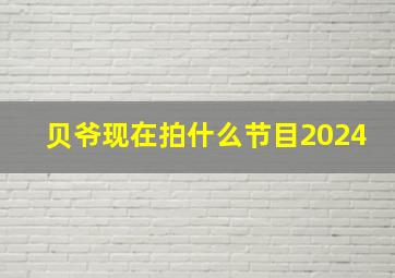 贝爷现在拍什么节目2024