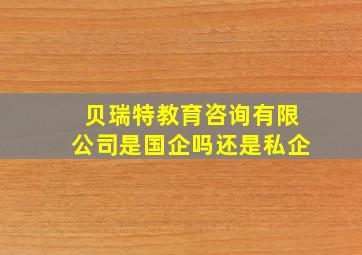 贝瑞特教育咨询有限公司是国企吗还是私企