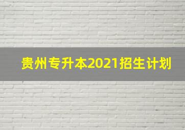 贵州专升本2021招生计划