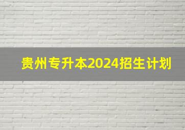 贵州专升本2024招生计划