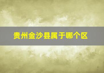 贵州金沙县属于哪个区