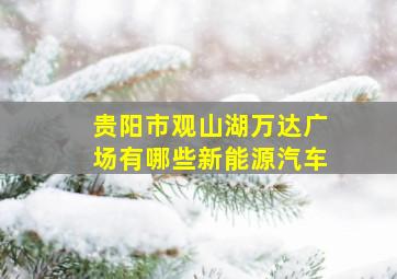 贵阳市观山湖万达广场有哪些新能源汽车