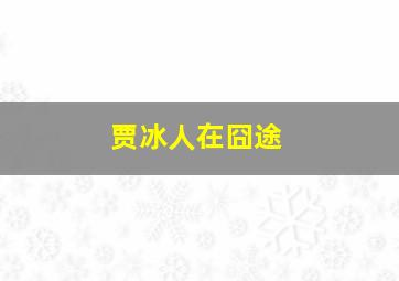 贾冰人在囧途