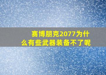 赛博朋克2077为什么有些武器装备不了呢