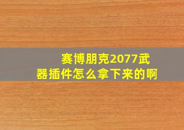 赛博朋克2077武器插件怎么拿下来的啊