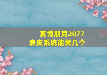 赛博朋克2077表皮系统能装几个