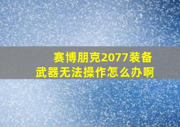 赛博朋克2077装备武器无法操作怎么办啊