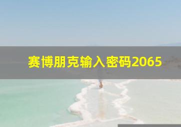 赛博朋克输入密码2065