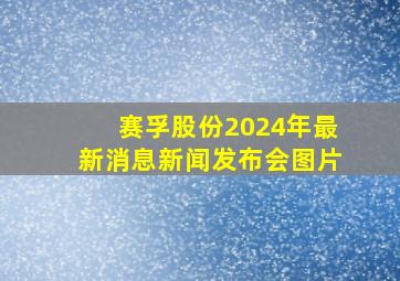 赛孚股份2024年最新消息新闻发布会图片