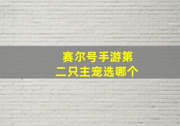 赛尔号手游第二只主宠选哪个