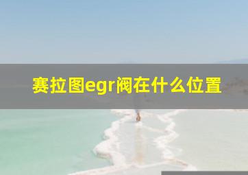 赛拉图egr阀在什么位置