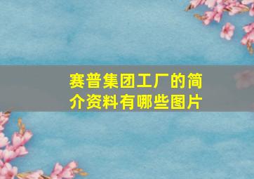 赛普集团工厂的简介资料有哪些图片