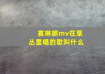 赛琳娜mv在草丛里唱的歌叫什么