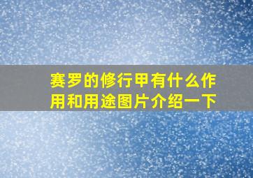 赛罗的修行甲有什么作用和用途图片介绍一下