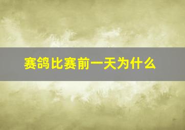 赛鸽比赛前一天为什么