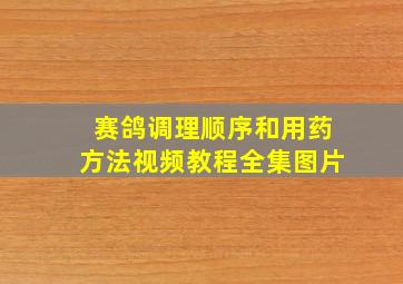 赛鸽调理顺序和用药方法视频教程全集图片