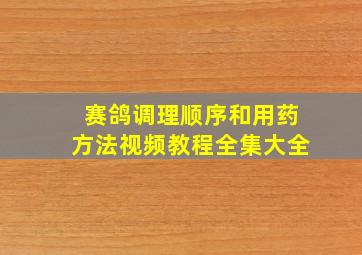 赛鸽调理顺序和用药方法视频教程全集大全