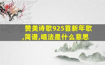 赞美诗歌925首新年歌,简谱,唱法是什么意思