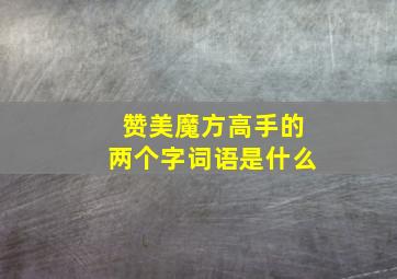 赞美魔方高手的两个字词语是什么