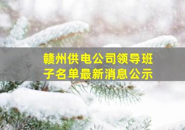 赣州供电公司领导班子名单最新消息公示