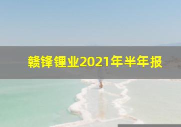 赣锋锂业2021年半年报