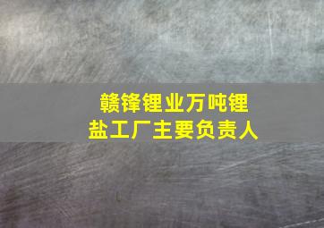 赣锋锂业万吨锂盐工厂主要负责人