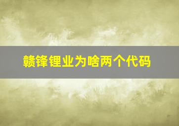 赣锋锂业为啥两个代码