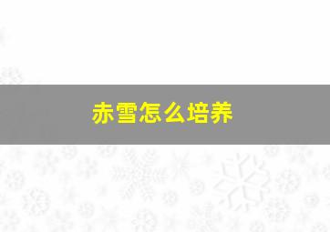 赤雪怎么培养