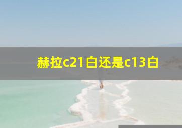 赫拉c21白还是c13白